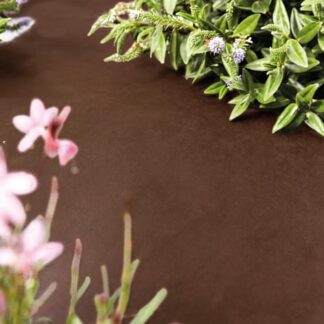 AGROWŁÓKNINA BRĄZOWA