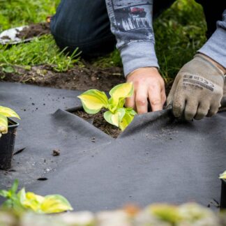 AGROWŁÓKNINA CZARNA