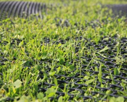 Siatka wzmacniająca podłoże i grunt RO2 2 x 15 mb - obrazek 2